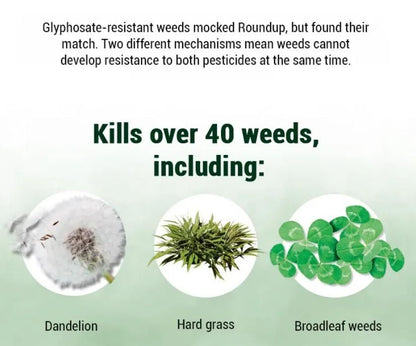 Dual-Action Weed Killer - Max Power Herbicide (Pack of 1)